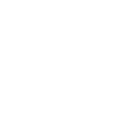 Maxi Mice